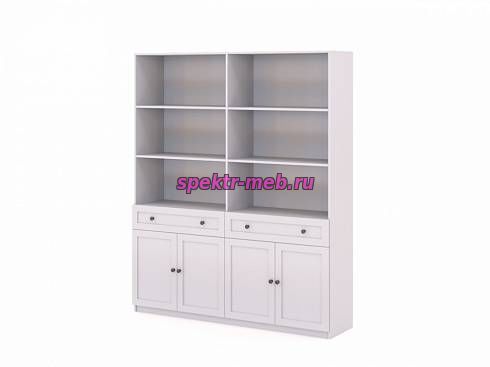 Стеллаж Ханта 1