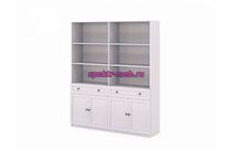 Стеллаж Ханта 1