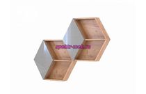 Полка Илона 5