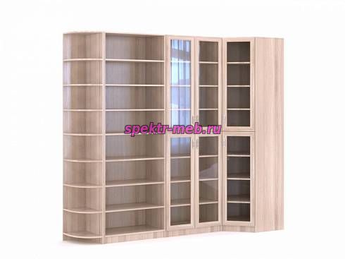 Стеллаж Фридрих 1