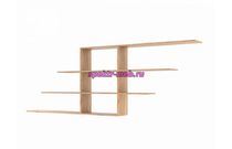 Полка Сидней 1