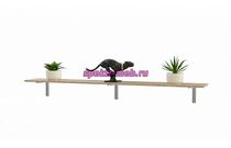 Полка Линда 3.1