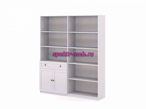 Стеллаж Ханта 2