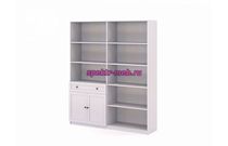 Стеллаж Ханта 2