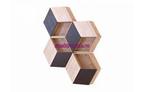 Полка Илона 4