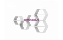 Полка Илона 1