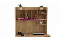 Надстройка Мастер 1