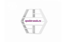 Полка Илона 2