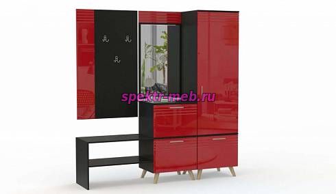 Прихожая Дана 17