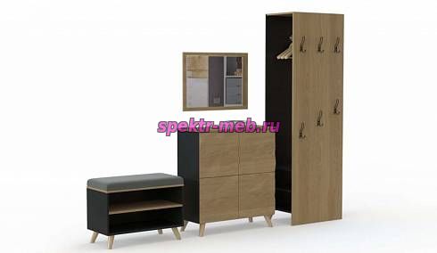 Прихожая Дельфы 12