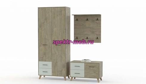 Прихожая Дублин 21