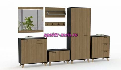 Прихожая Эста Нео 10