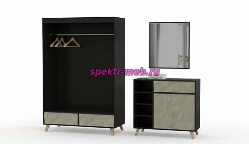 Прихожая Анэйс 13