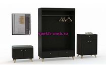 Прихожая Амарант 12