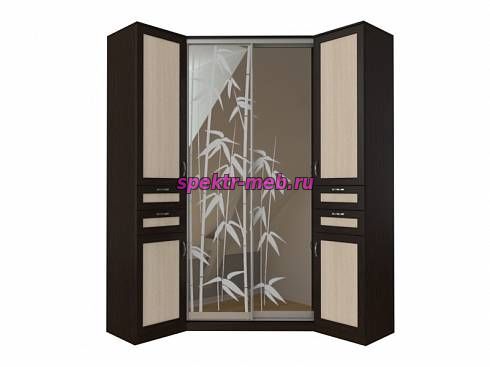 Прихожая-купе Каррада-2