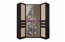 Прихожая-купе Каррада-2