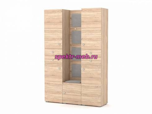 Прихожая Камея 17