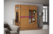 Прихожая-купе Теко-1