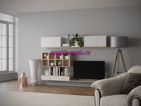 Гостиная Тиса-206