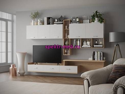 Гостиная Тиса-218