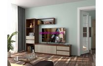 Стенка Сая 91