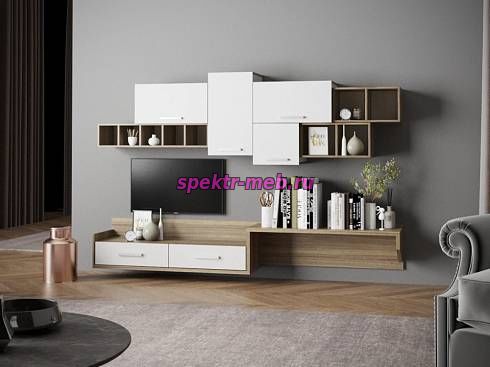 Гостиная Тиса-216