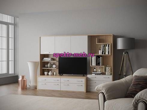 Гостиная Тиса-102