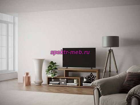 Гостиная FlashNika №50