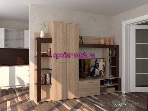 Стенка для гостиной Дарина 10