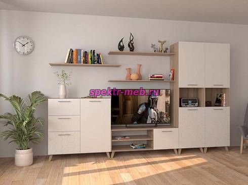 Стенка для гостиной Ромира 6