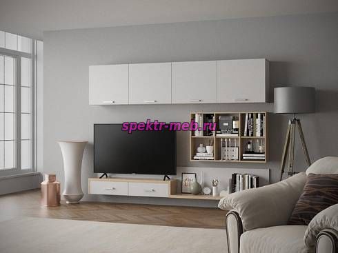 Гостиная Тиса-219