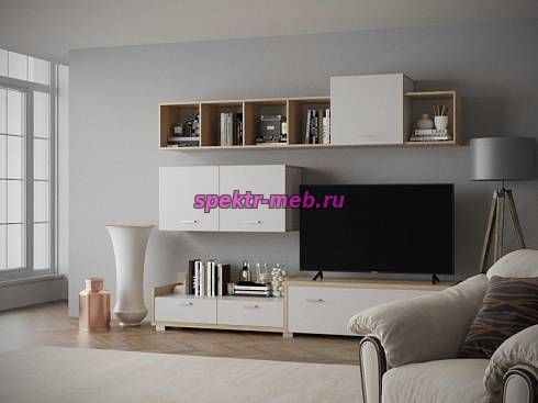 Гостиная Тиса-220