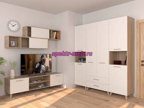 Стенка для гостиной Ромира 10
