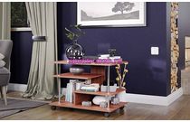 Журнальный стол СЖ 1