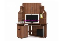 Компьютерный стол Лирика 3