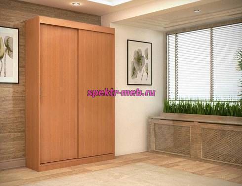 Шкаф-купе Миллениум 2