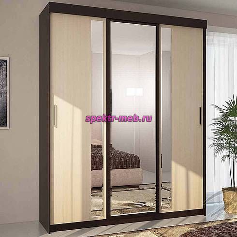 Шкаф-купе Комфорт 5