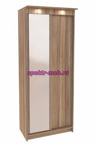 Шкаф-купе Галакси 2Б