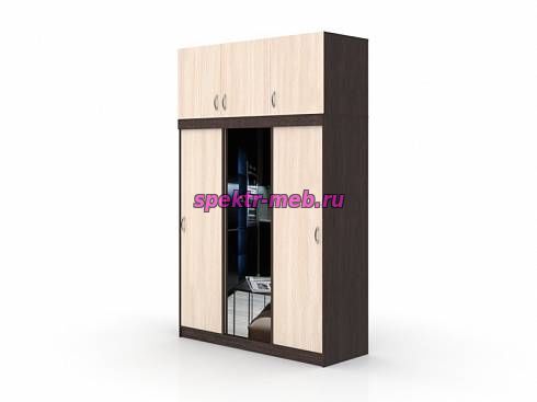 Шкаф-купе Кэт 7