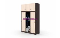 Шкаф-купе Кэт 7