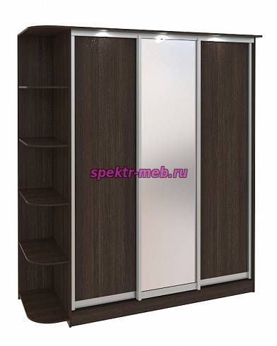 Шкаф-купе Байкал-Рамир 3