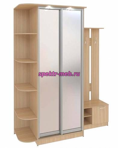 Шкаф-купе с прихожей Байкал-Рамир