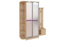 Шкаф-купе с прихожей Байкал-Рамир