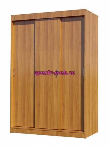 Шкаф-купе Канада 3