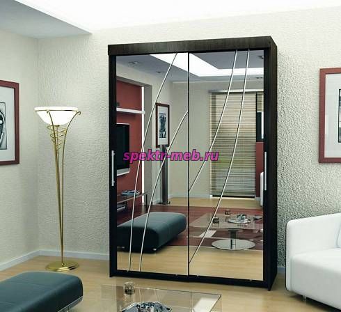 Шкаф-купе Намибия 14