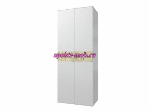 Распашной шкаф Селена Evo 2