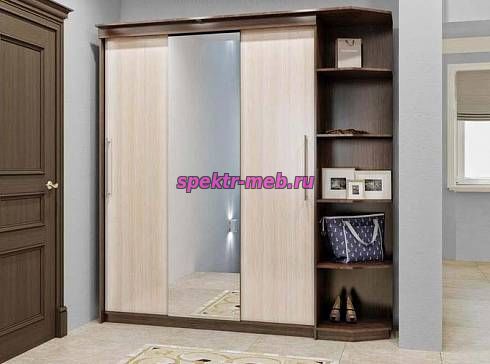 Шкаф-купе Руакана 2