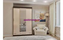 Шкаф-купе Млечный 5