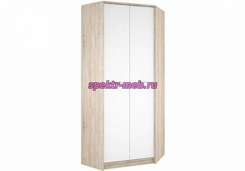 Угловой шкаф Непо 2D