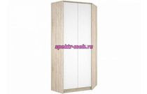 Угловой шкаф Непо 2D